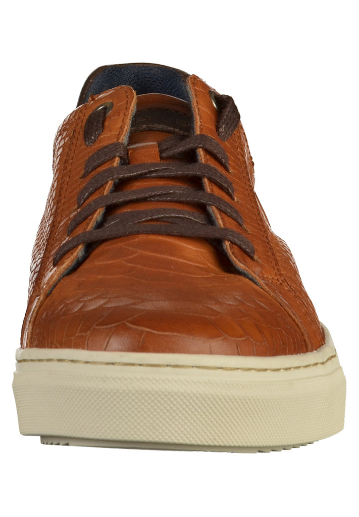 Salamander Sneaker Glattleder Cognac - surf4shoes