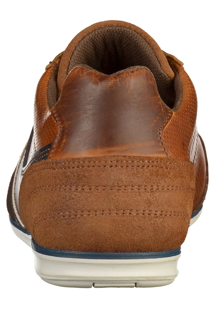 Bullboxer Sneaker Leder Braun - surf4shoes