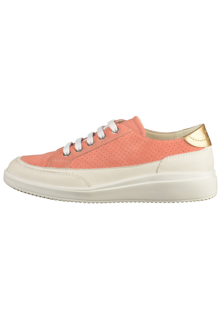 Geox Sneaker Leder Coral - surf4shoes