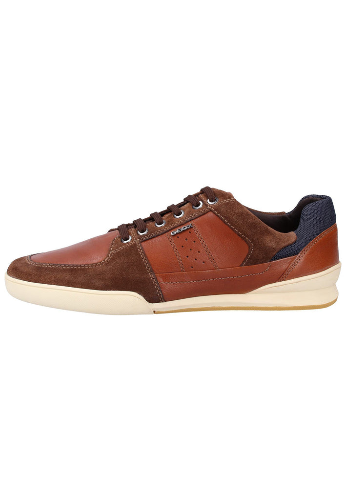 Geox Sneaker Leder Braun - surf4shoes