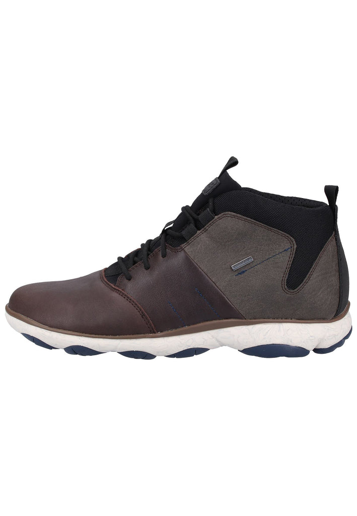 Geox Sneaker Leder Coffee - surf4shoes