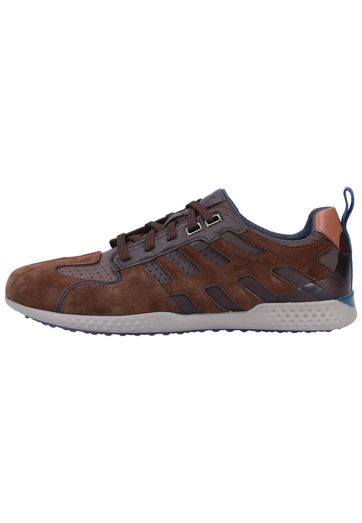 Geox Sneaker Leder/Textil Braun - surf4shoes