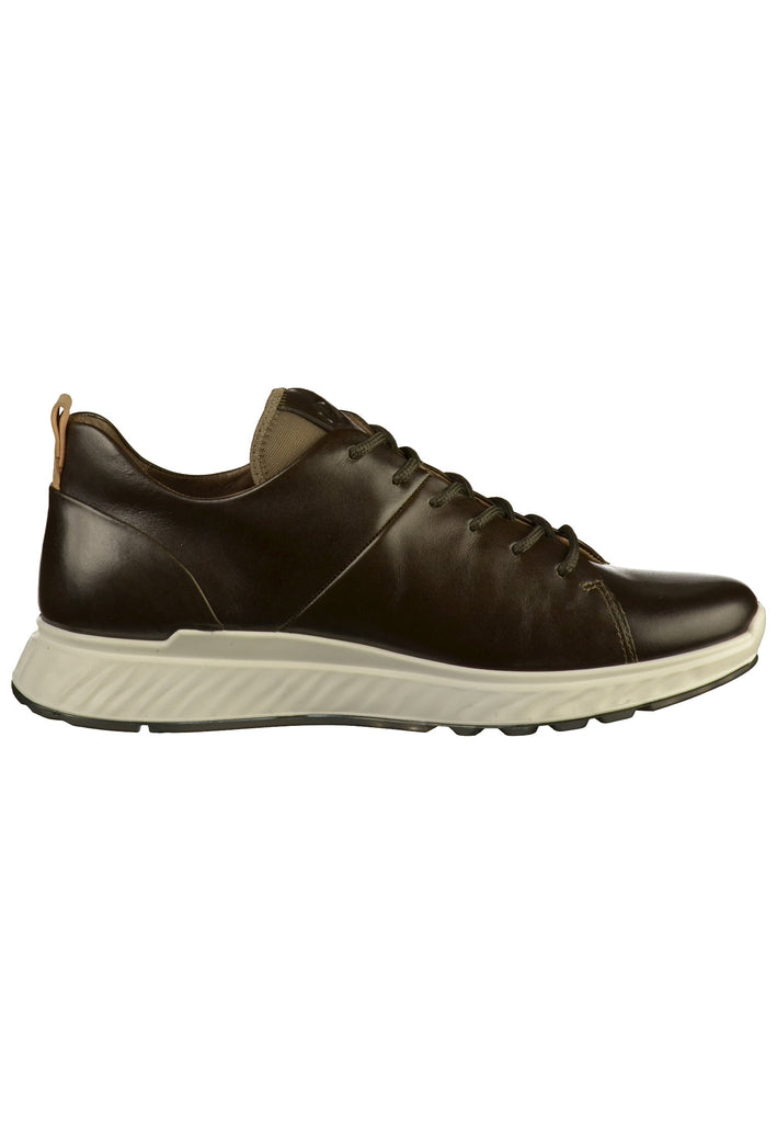 ecco Sneaker Leder Oliv - surf4shoes