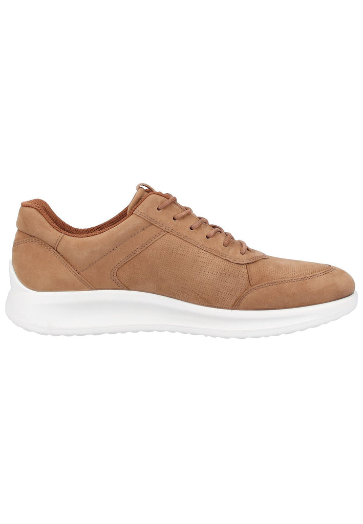 ecco Sneaker Nubukleder Camel - surf4shoes