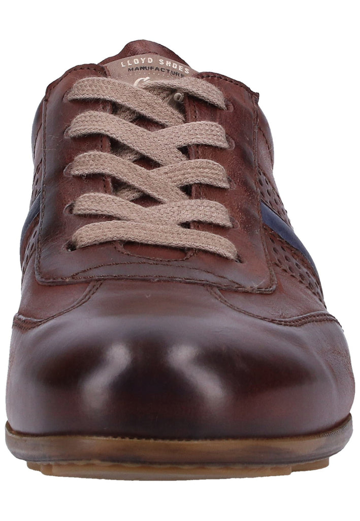 Lloyd Sneaker Glattleder Cigar - surf4shoes