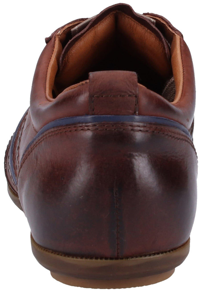 Lloyd Sneaker Glattleder Cigar - surf4shoes