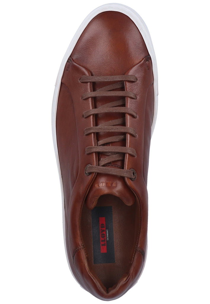 Lloyd Sneaker Glattleder Cognac - surf4shoes