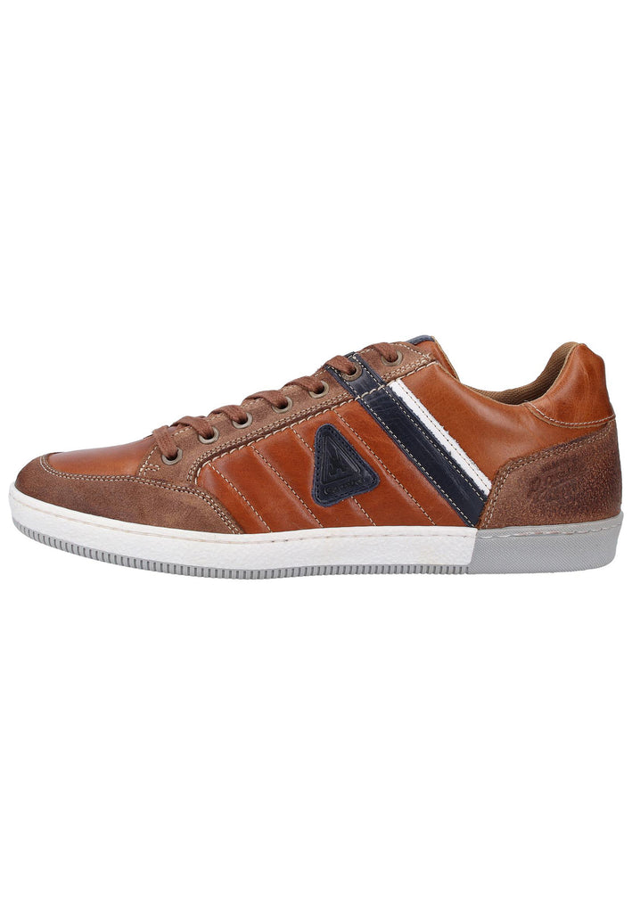 Gaastra Sneaker Leder Cognac - surf4shoes