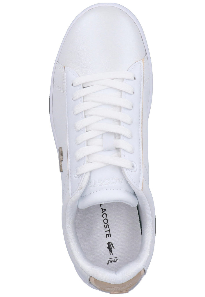 Lacoste Sneaker Leder Weiß/Gold - surf4shoes