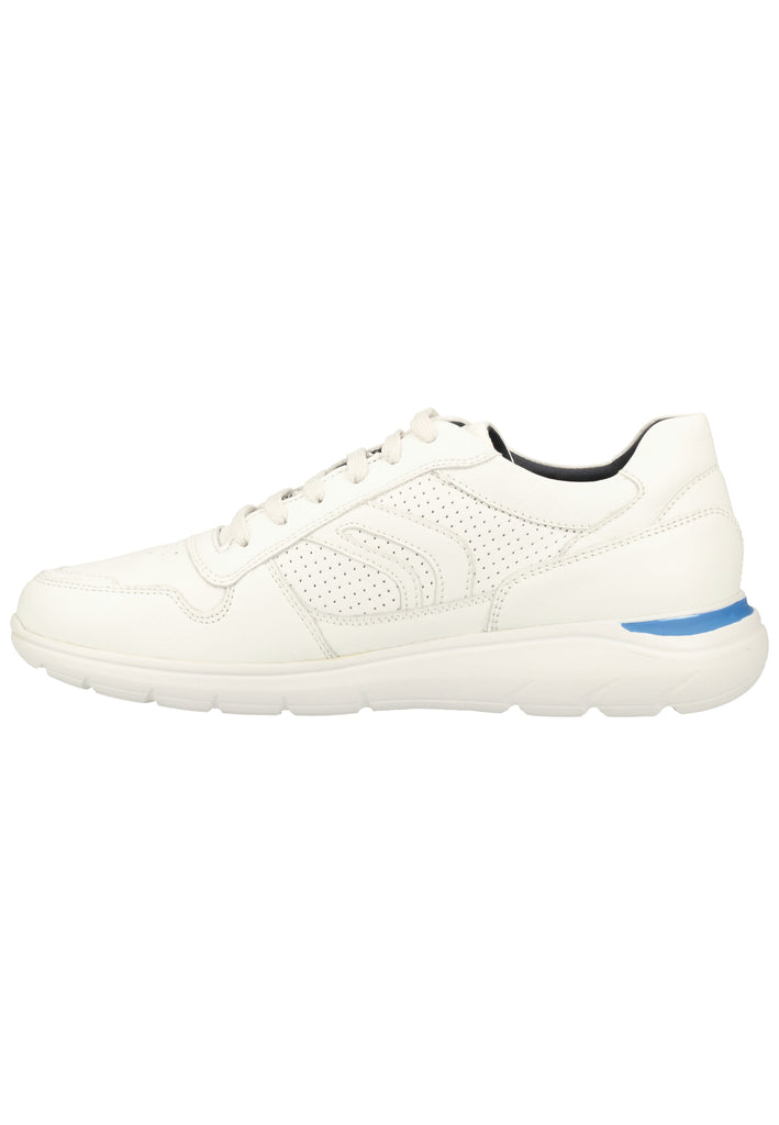 Geox Sneaker Leder Weiß - surf4shoes