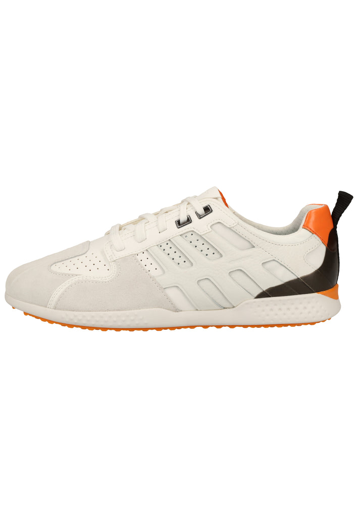 Geox Sneaker Veloursleder/Synthetik Weiß - surf4shoes