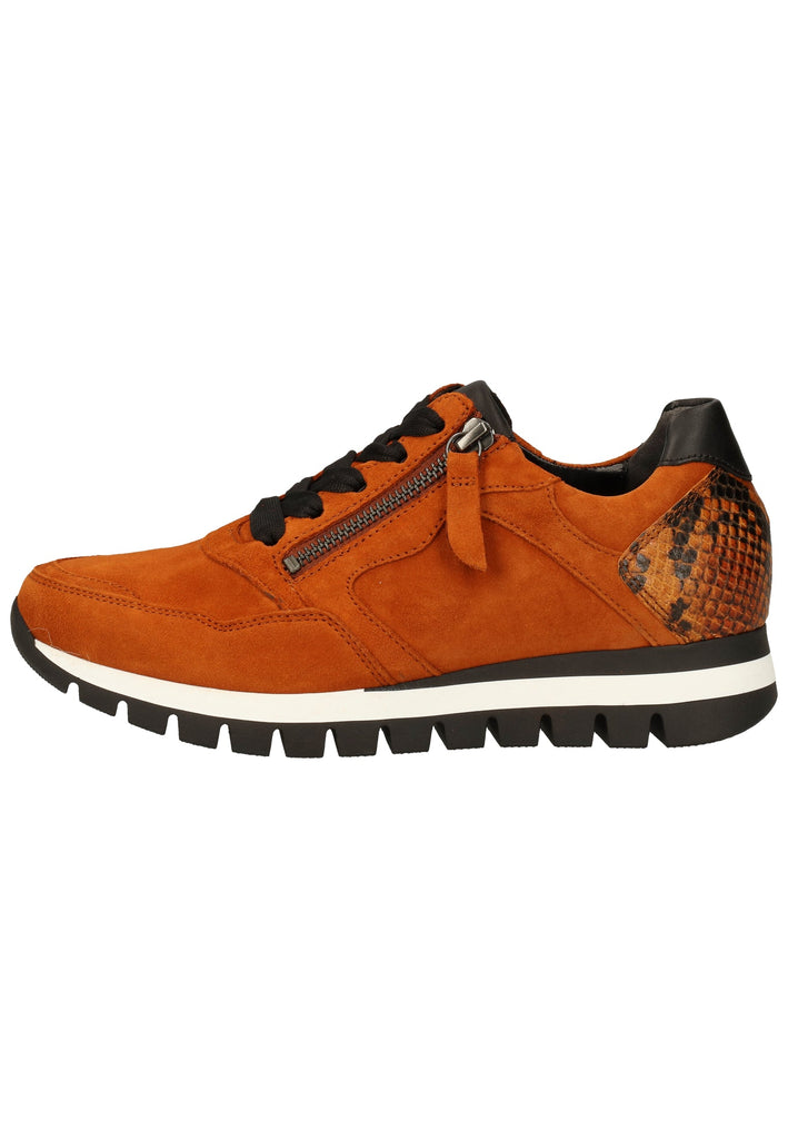 Gabor Sneaker Leder Curry - surf4shoes