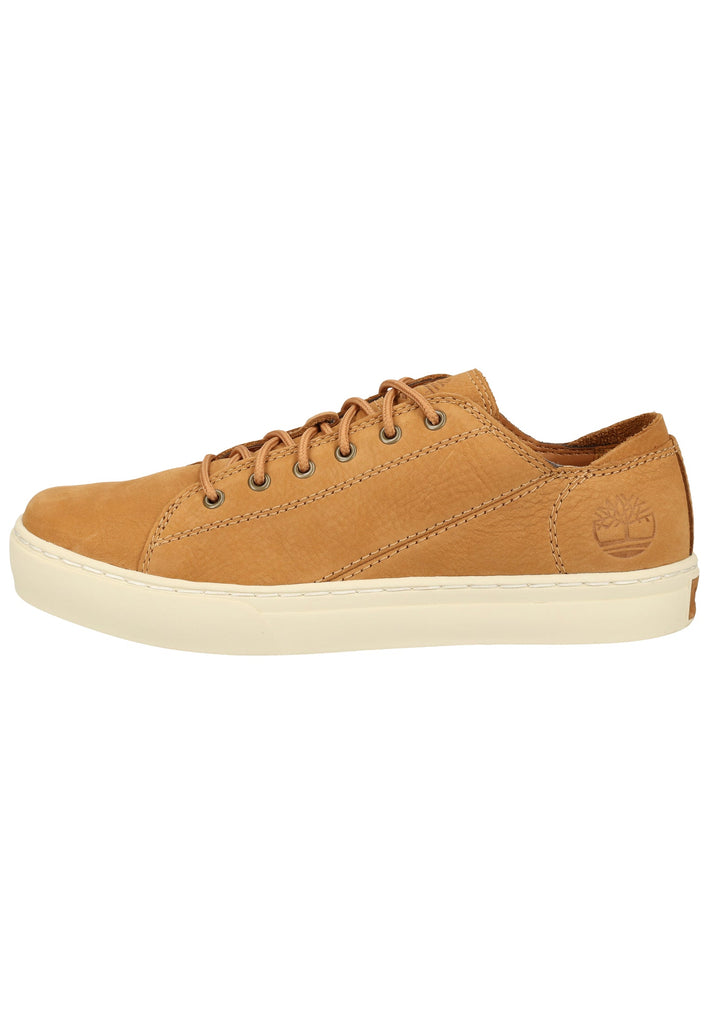 Timberland Sneaker Leder Hellbraun - surf4shoes