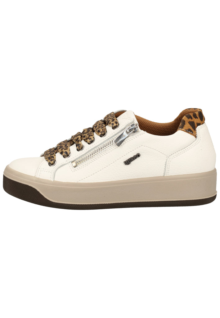 IGI&CO Sneaker Leder Weiß/Braun - surf4shoes