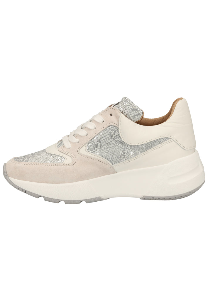Scapa Sneaker Leder Grau - surf4shoes