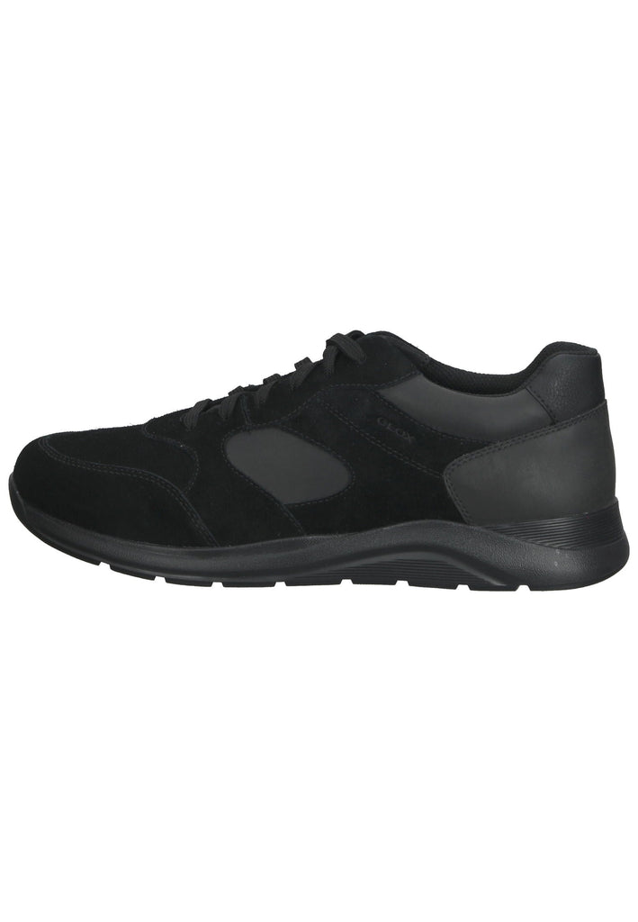 Geox Sneaker Veloursleder/Synthetik Schwarz - surf4shoes