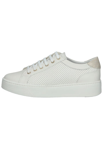 Geox Sneaker Leder/Synthetik Weiß - surf4shoes