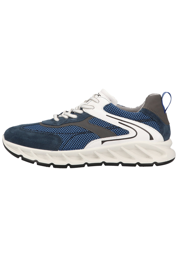 IGI&CO Sneaker Leder/Textil Blau - surf4shoes
