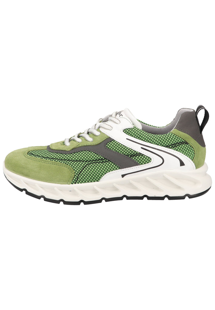 IGI&CO Sneaker Leder/Mesh Grün - surf4shoes