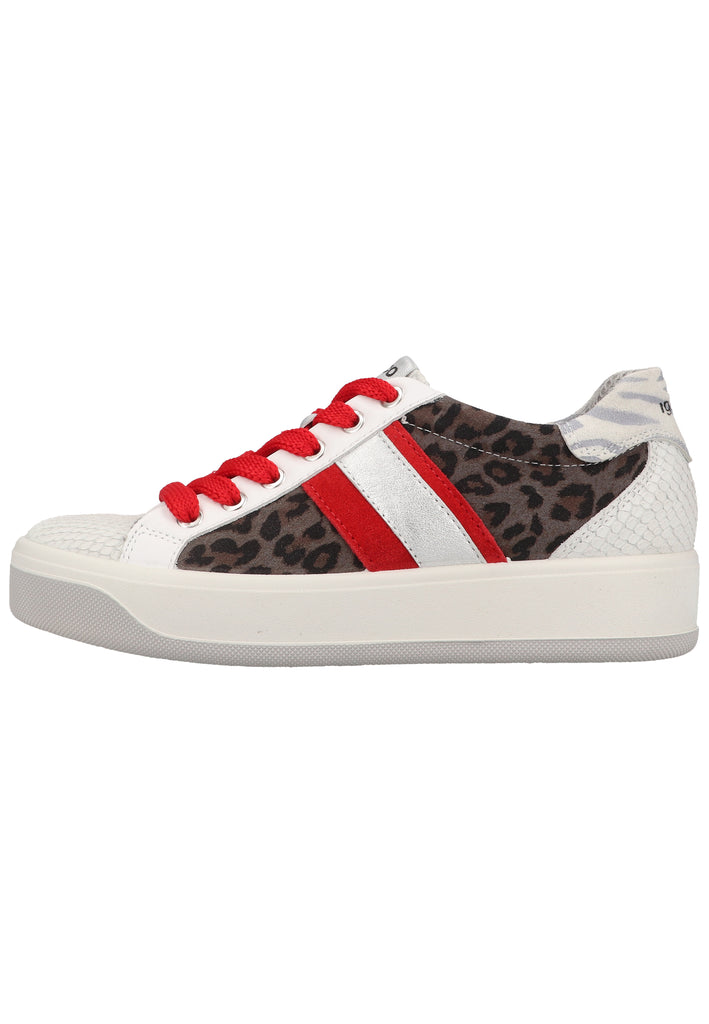 IGI&CO Sneaker Leder Weiß/Schwarz - surf4shoes