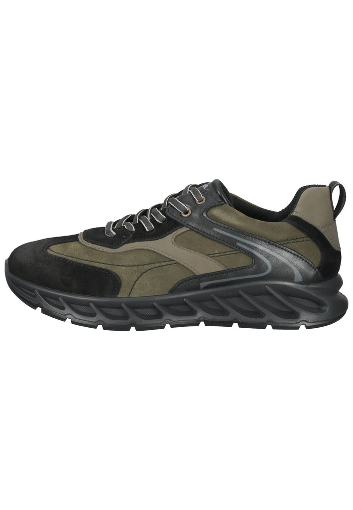 IGI&CO Sneaker Nappaleder Braun/Schwarz - surf4shoes