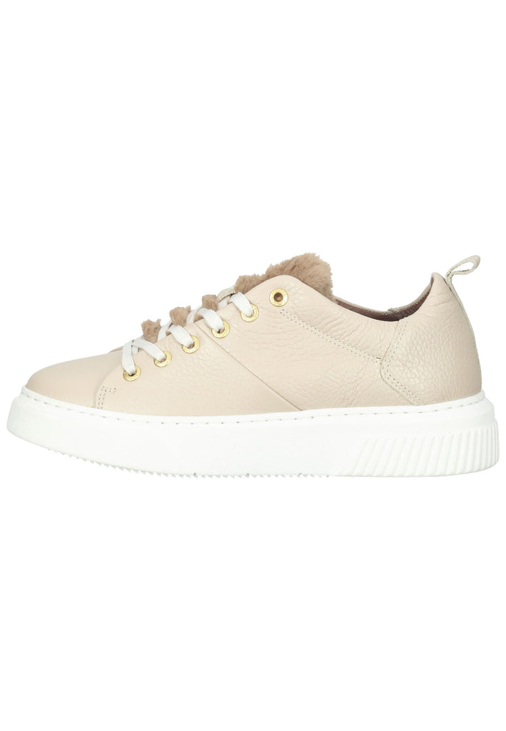 Scapa Sneaker Leder Beige - surf4shoes