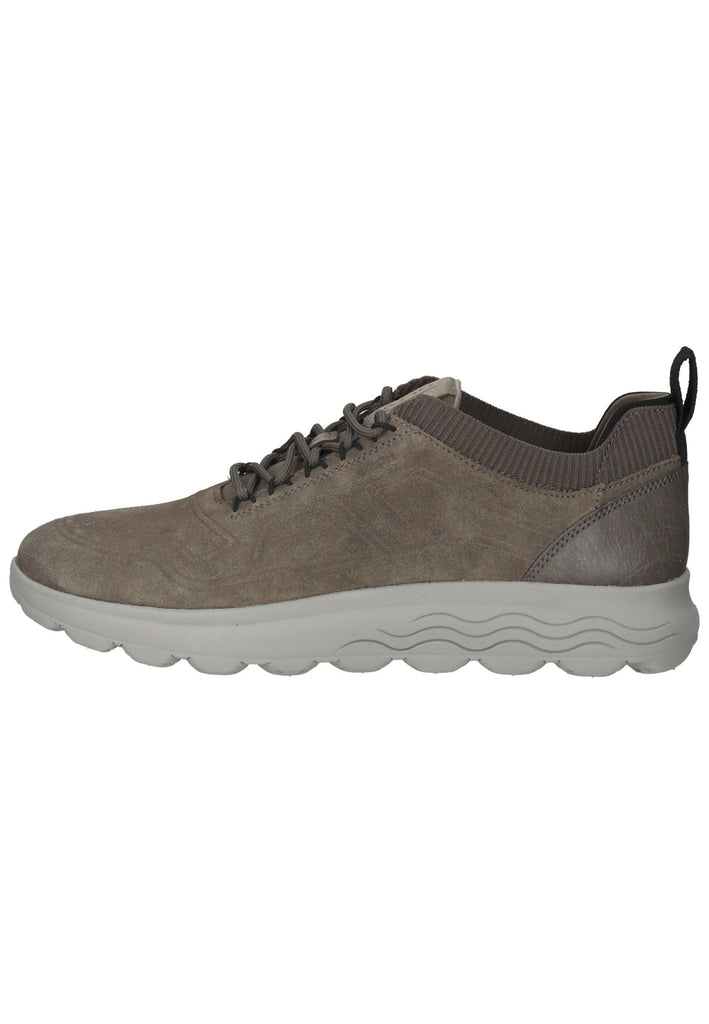 Geox Sneaker Veloursleder/Textil Sand - surf4shoes