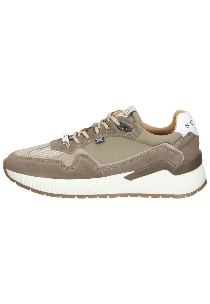 Scapa Sneaker Leder Taupe - surf4shoes