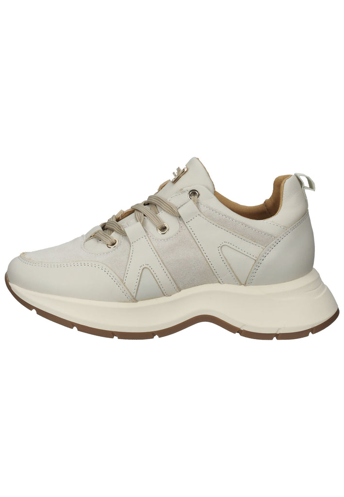 Scapa Sneaker Leder Beige - surf4shoes