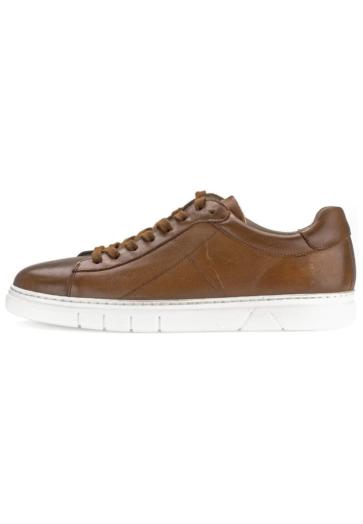 Pius Gabor Sneaker Glattleder Cognac - surf4shoes