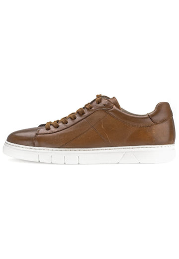 Pius Gabor Sneaker Glattleder Cognac - surf4shoes