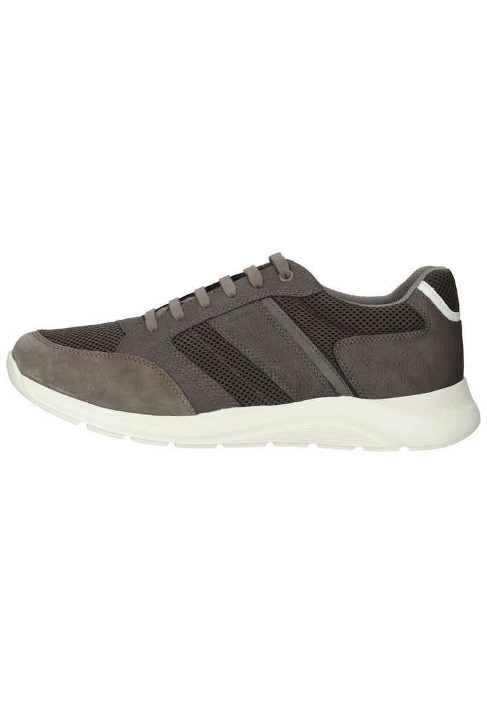 Geox Sneaker Lederimitat/Mesh Sand - surf4shoes