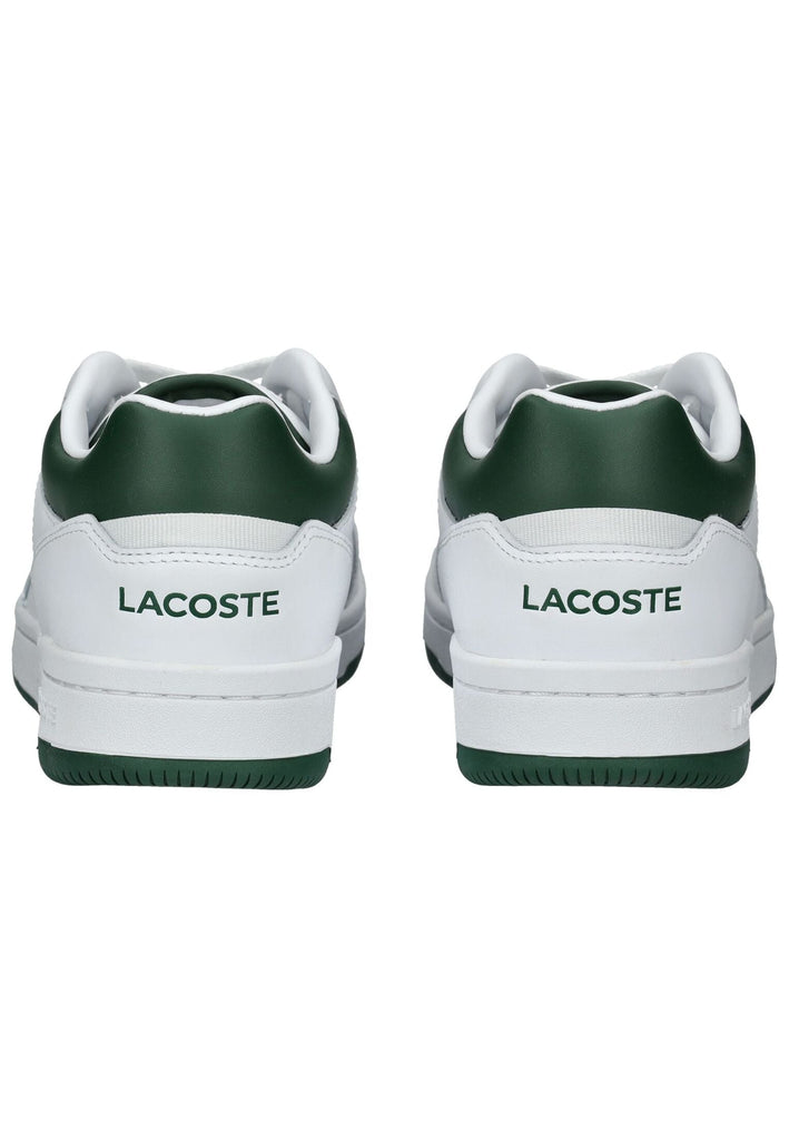Lacoste Sneaker Leder/Textil Weiß/Grün - surf4shoes