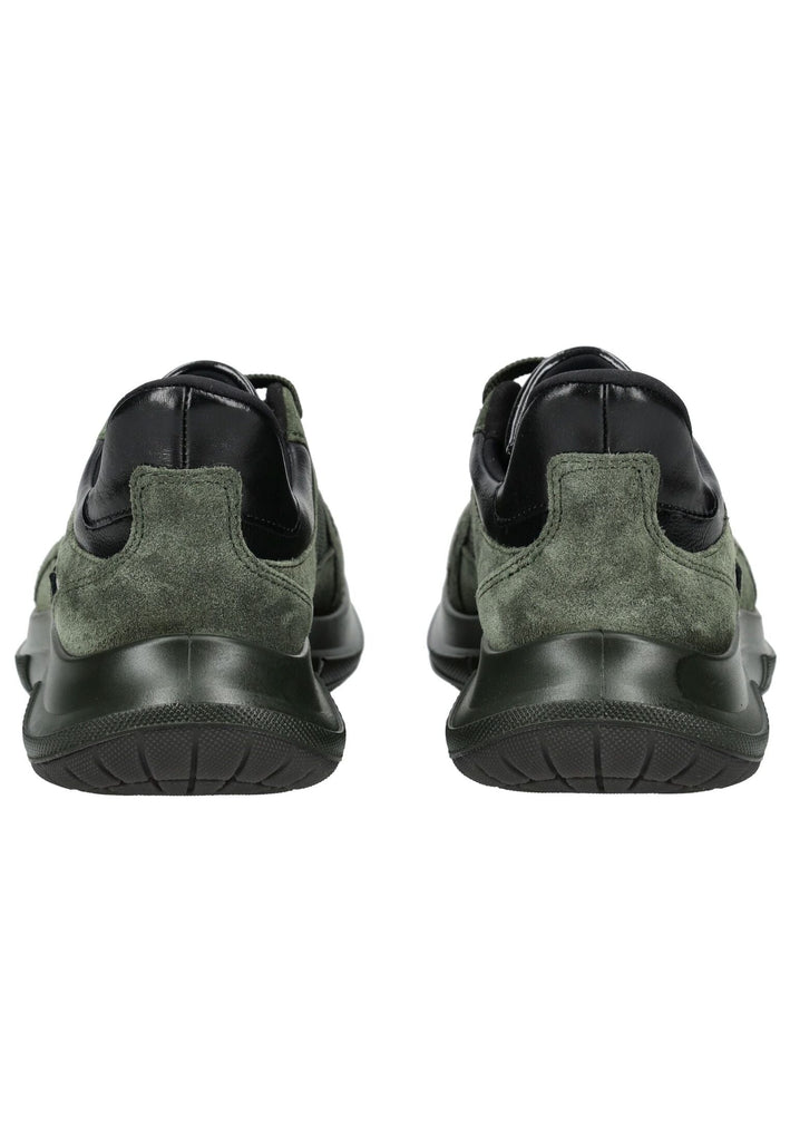 ara Sneaker Leder Grün