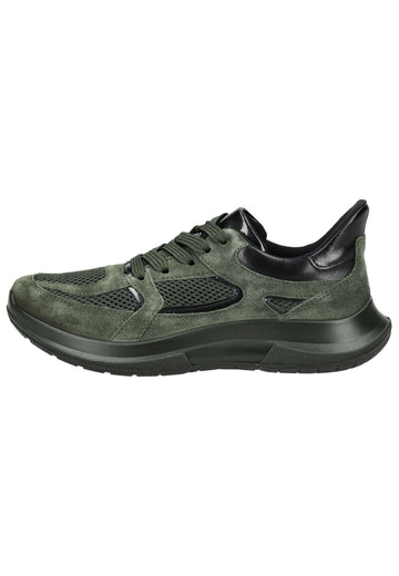 ara Sneaker Leder Grün
