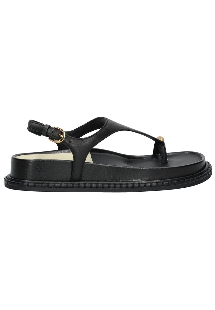 Dolce Vita Sandalen Leder Schwarz