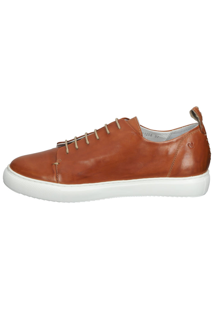 Everybody Sneaker Leder Braun