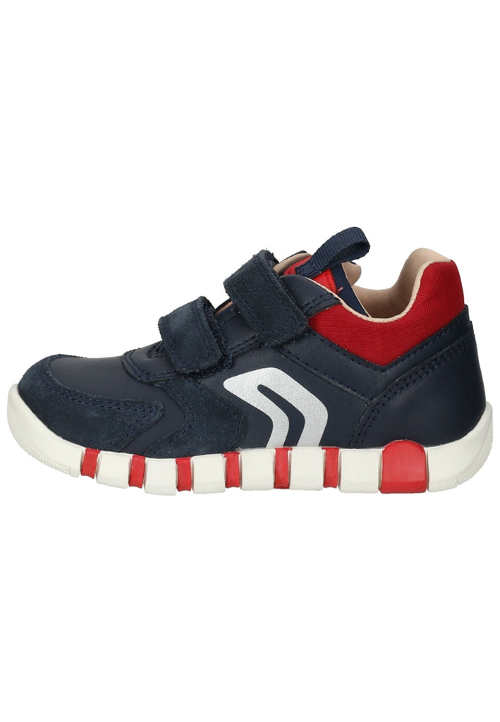 Sneaker Geox Sneaker Leder/Textil Navy/Rot