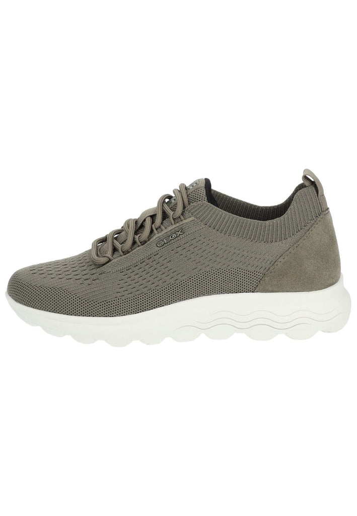 Sneaker Geox Sneaker Veloursleder/Textil Sage