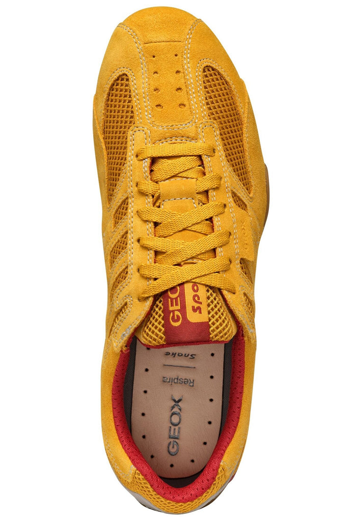 Geox Sneaker Leder/Textil Gelb