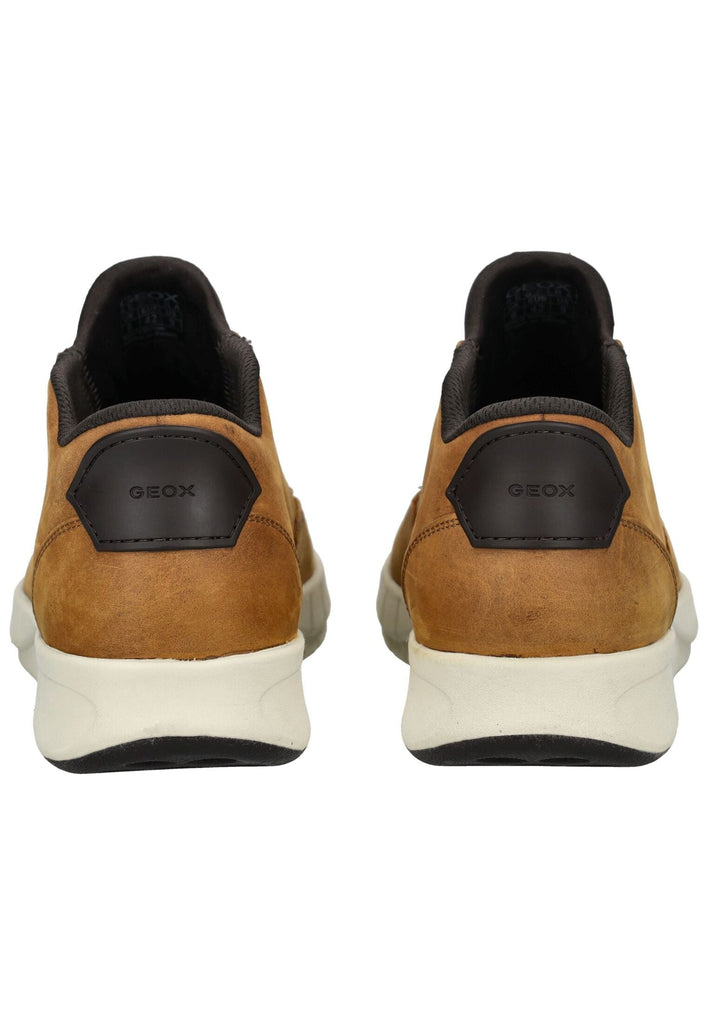 Geox Sneaker Leder/Textil Hellbraun