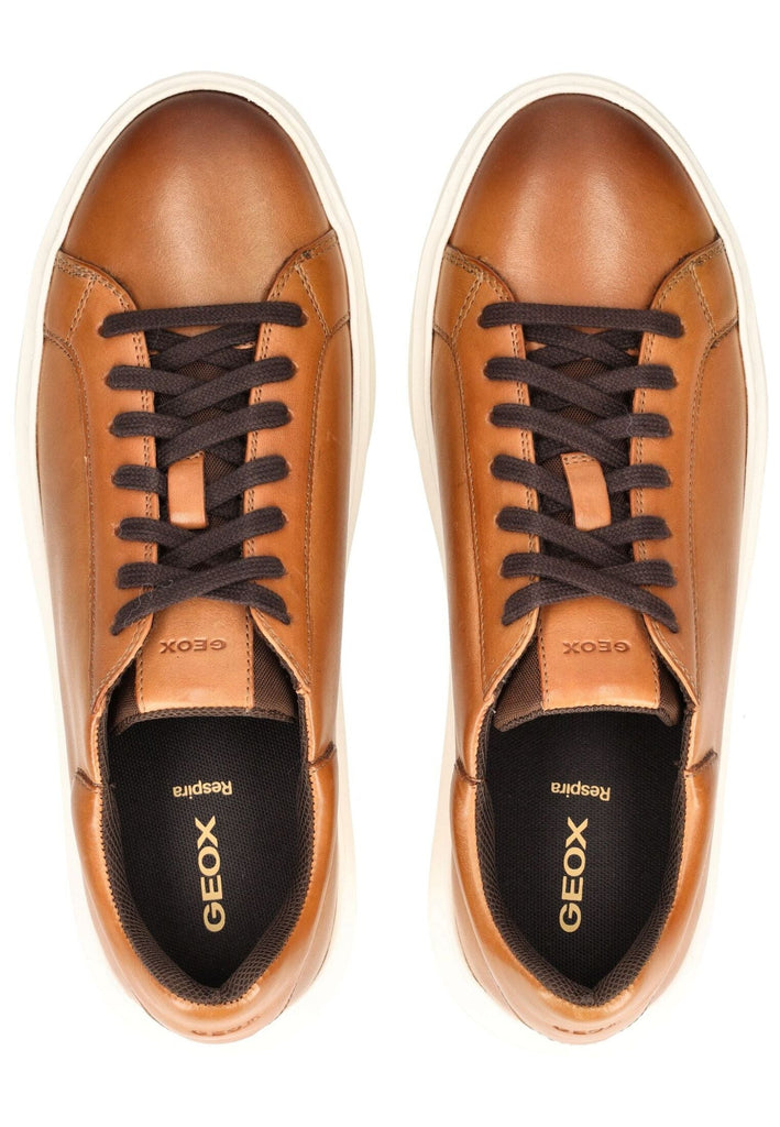 Geox Sneaker Leder/Textil Hellbraun