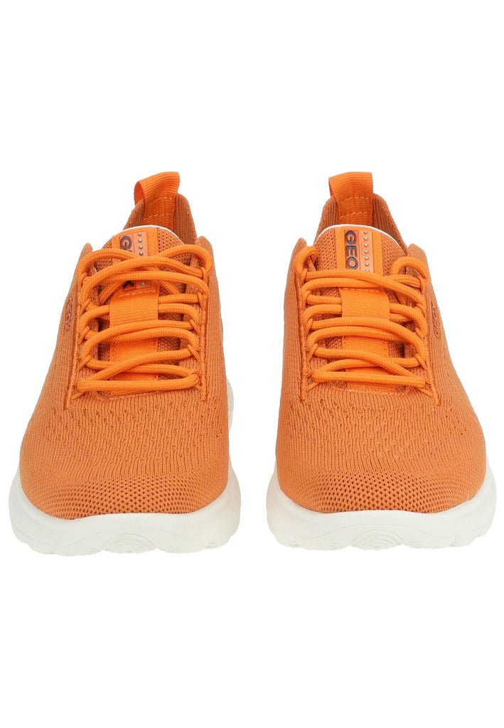 Geox Sneaker Leder/Textil Orange