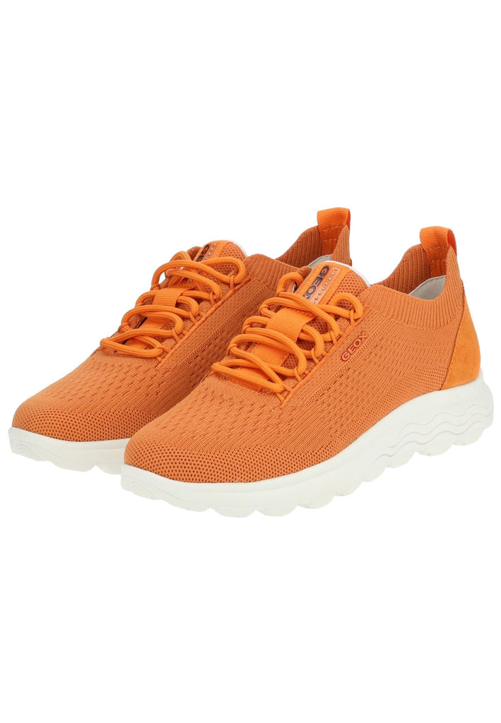 Geox Sneaker Leder/Textil Orange