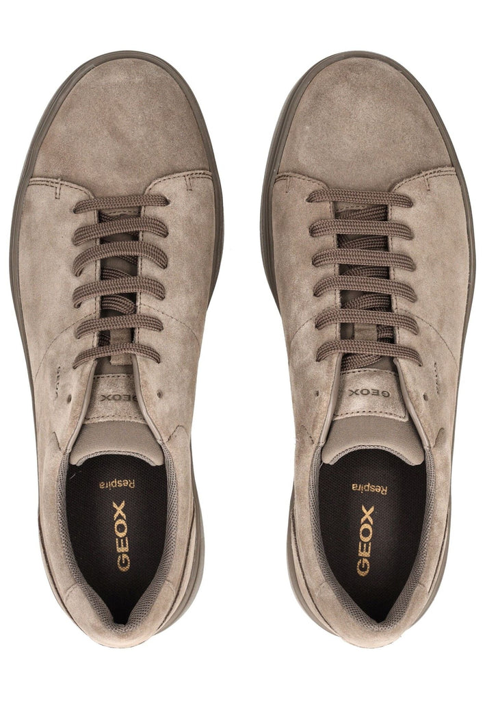 Geox Sneaker Leder/Textil Taupe