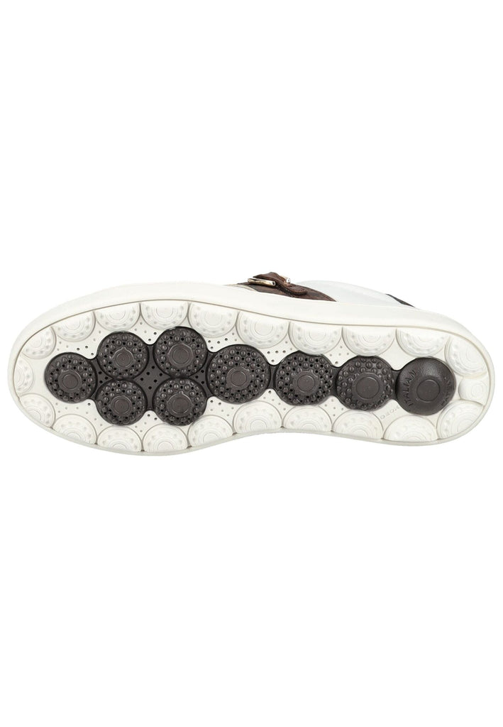 Geox Sneaker Leder/Textil Weiß/Braun