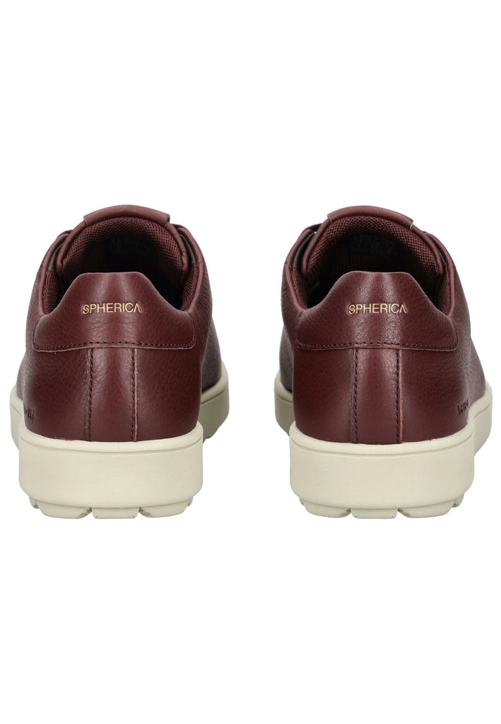 Geox Sneaker Leder Weinrot