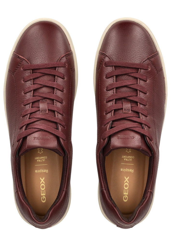 Geox Sneaker Leder Weinrot