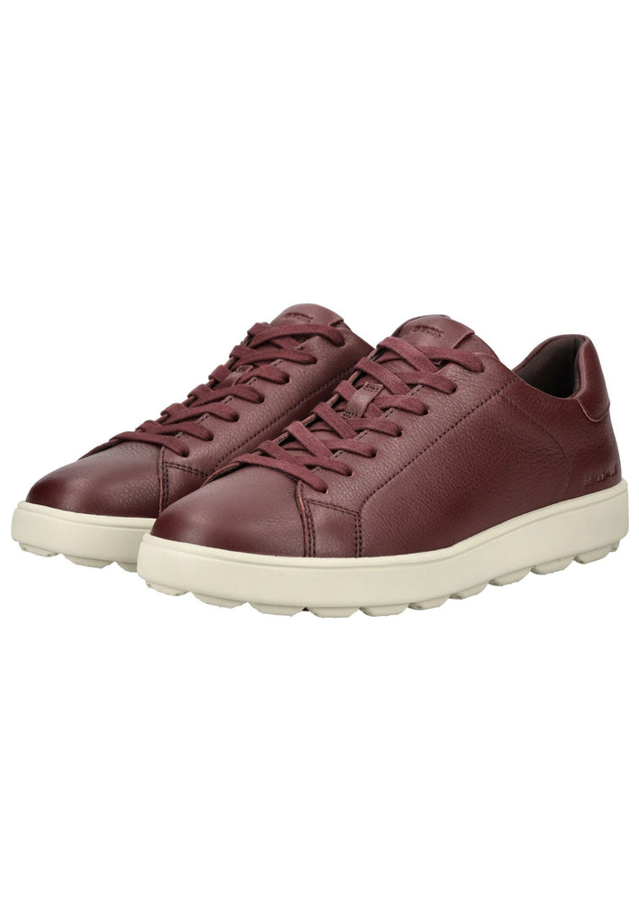 Geox Sneaker Leder Weinrot