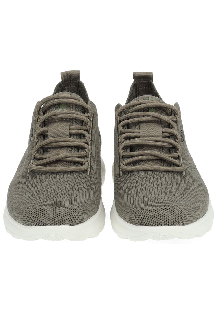 Geox Sneaker Veloursleder/Textil Sage